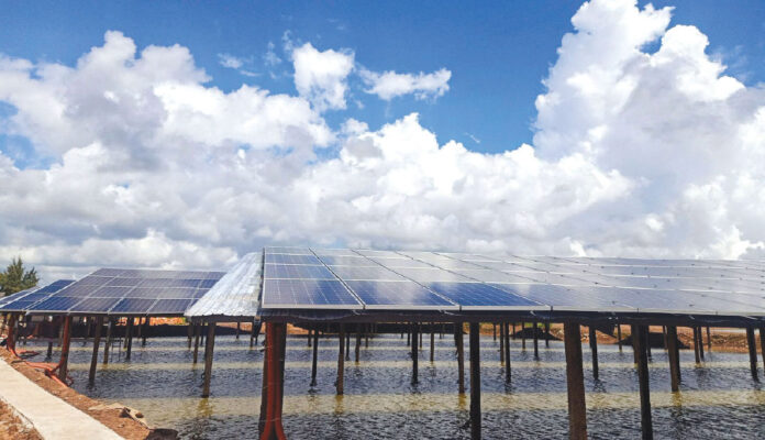 nuoi-tom-duoi-he-thong-dien-mat-troi-o-Bac-Lieu